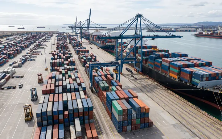 DDP Shipping: Scope, Duties and Importer Responsibilities